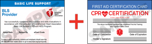 Sample American Heart Association AHA BLS CPR Card Certification and First Aid Certification Card from CPR Certification Brandon