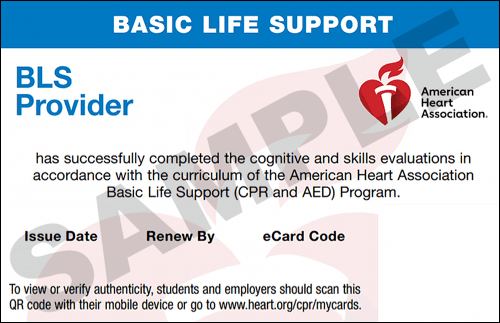 Sample American Heart Association AHA BLS CPR Card Certification from CPR Certification Brandon