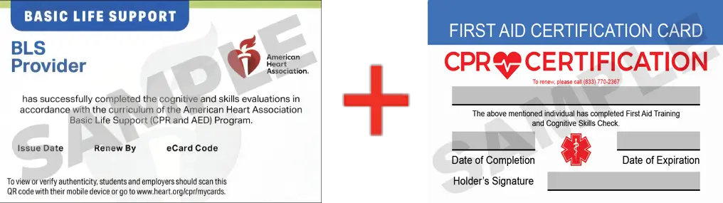 Sample American Heart Association AHA BLS CPR Card Certification and First Aid Certification Card from CPR Certification Brandon