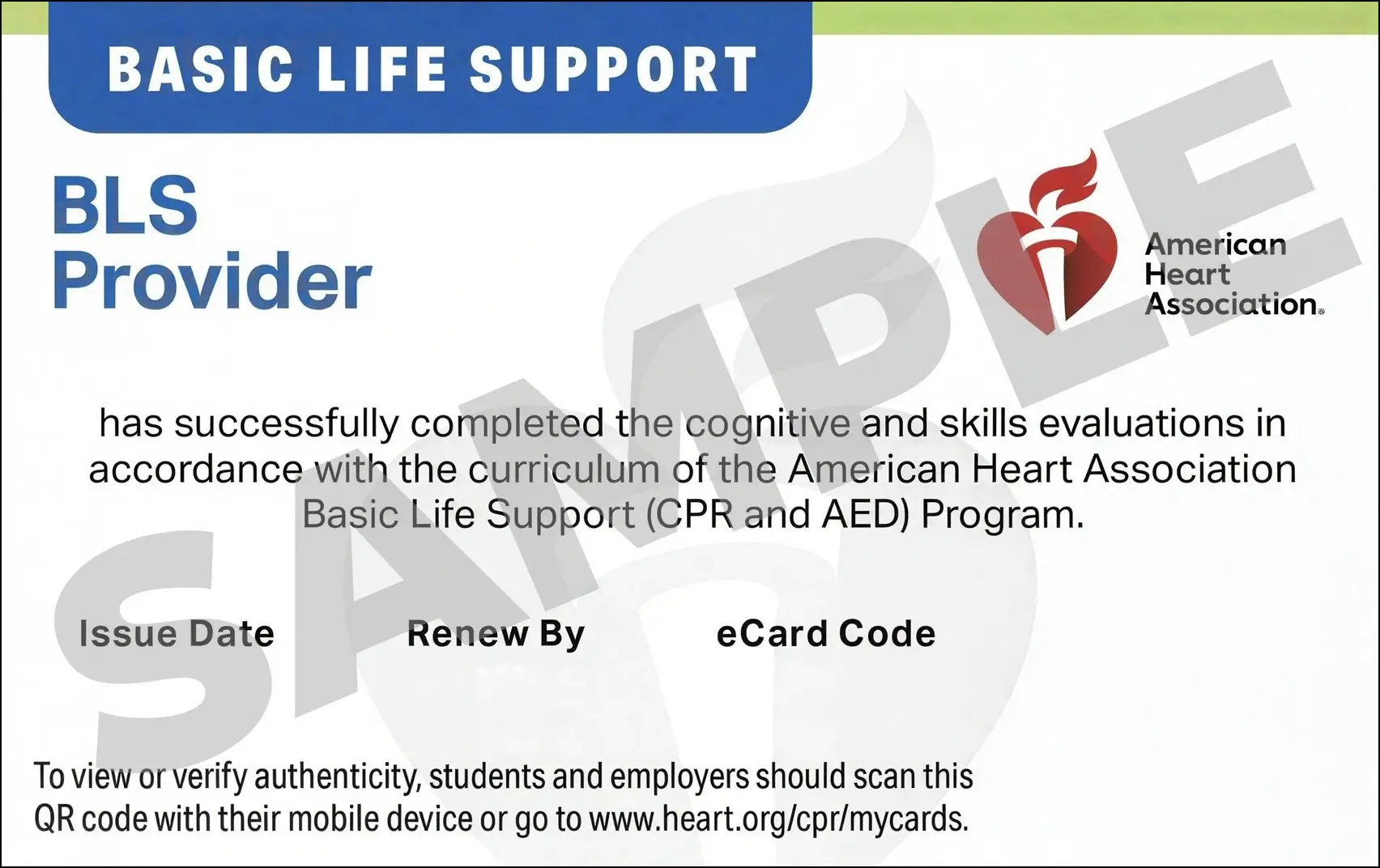 Sample American Heart Association AHA BLS CPR Card Certification from CPR Certification Brandon